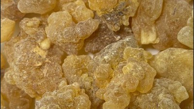 💖 놓치면 후회! 해나식품 레몬밤 300g 솔직 후기 & 꿀팁🍯