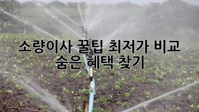 소량이사 꿀팁🍯: 최저가 비교 & 숨은 혜택 찾기!